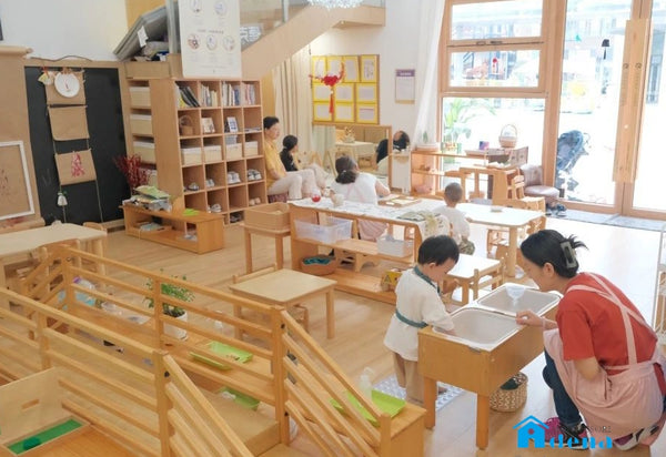 Adena Montessori Pickler - drill climbing three piece set Beechwood