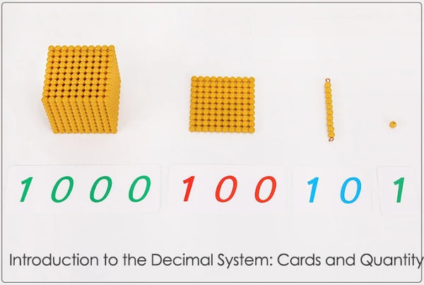 Preschool Montessori Educational Toys Golden Bead Material Bank Game Montessori at Home Mathematical Learning Tool Professional