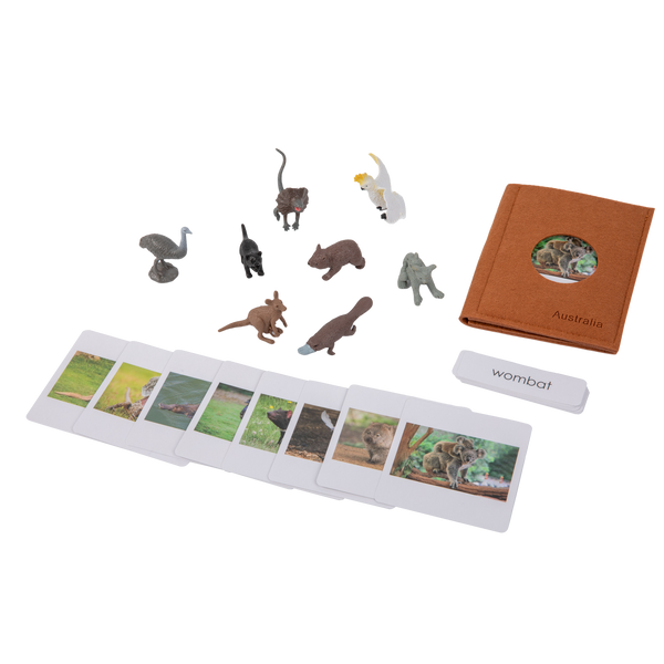 Adena Montessori Animals of the seven continents Montessori Toys for Kindergarten