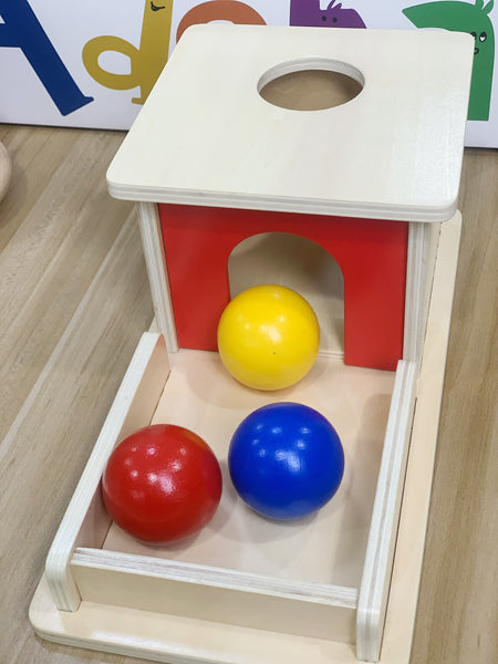 Adena Montessori Toys for Toddlers Baby Learning Toys | 7-8 Months