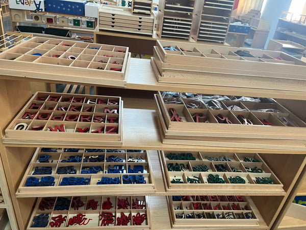 Wood - Large/ Small Movable Alphabet (Red & Blue)