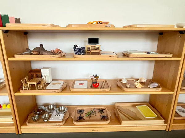 Replicas Objects -Stationery Tools with wooden tray
