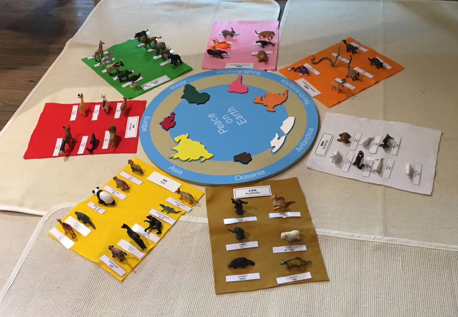 Adena Montessori Animals of the seven continents Montessori Toys for Kindergarten