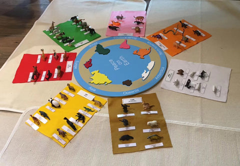 Adena Montessori Animals of the seven continents Montessori Toys for Kindergarten