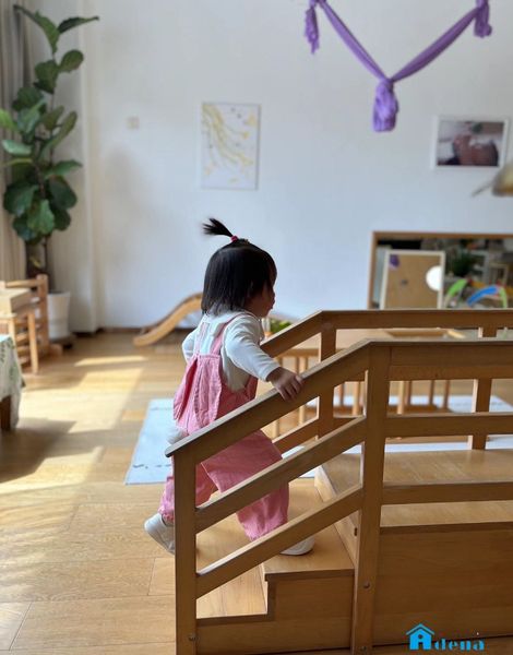 Stepping ladder