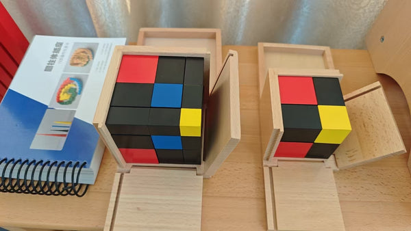 Binomial Cube A160