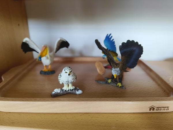 Replicas Objects