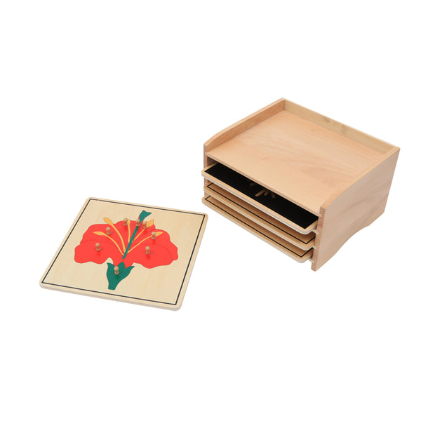 Botany  Puzzle Cabinet (3 Puzzles Included)