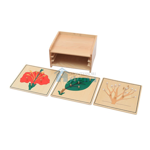 Botany  Puzzle Cabinet (3 Puzzles Included)