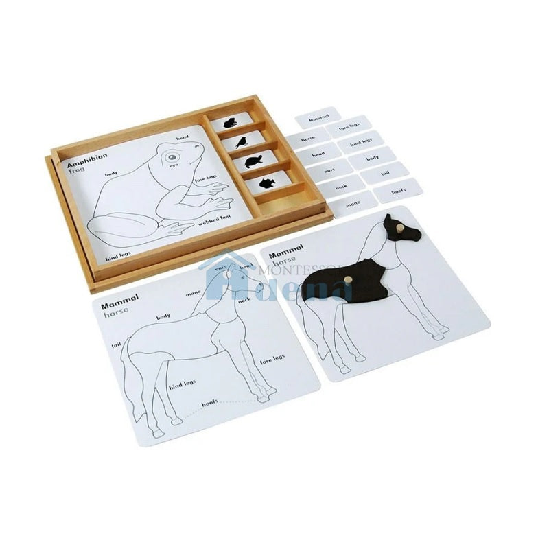 Animal Puzzle Activity Set EN