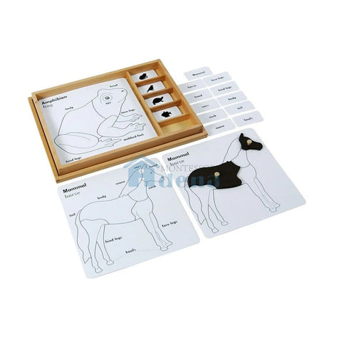 Animal Puzzle Activity Set EN