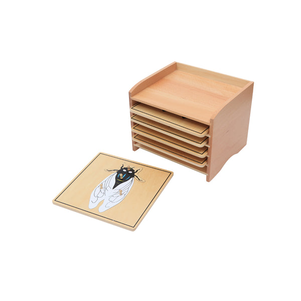 Insect  Puzzle Cabinet (5Slots) (5 Puzzles Included)