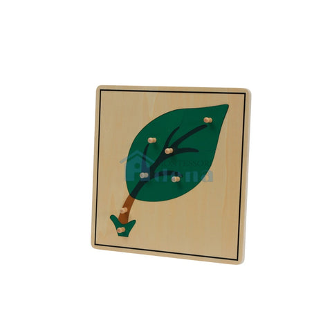 Leaf Puzzle