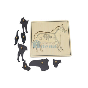 Skeleton Puzzle