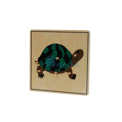 Turtle Puzzle