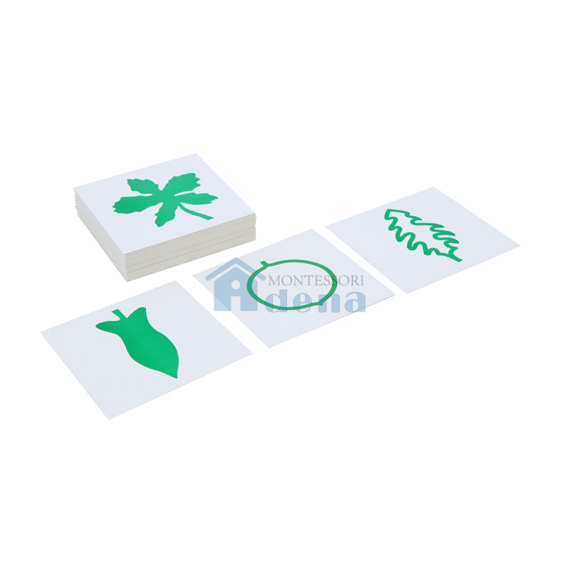 Leaf Cards