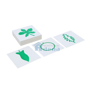 Leaf Cards