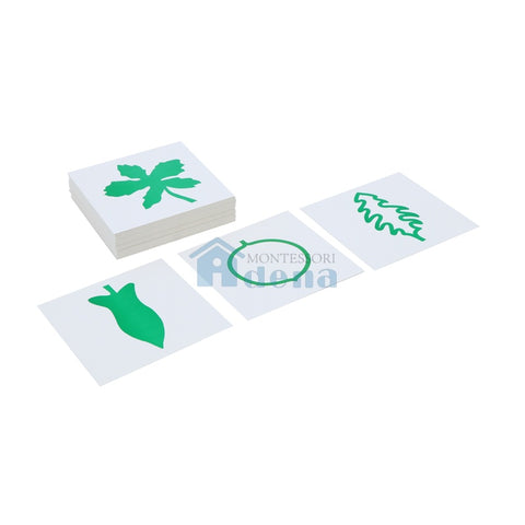 Leaf Cards