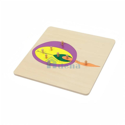 Seed Puzzle