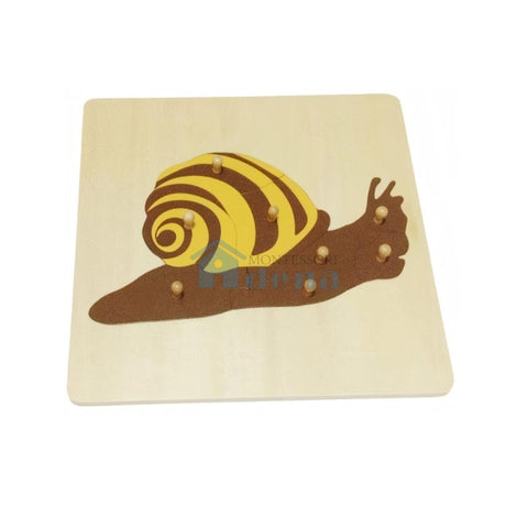 Snail  Puzzle
