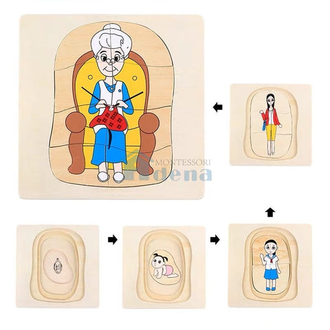 Life Cycle of Woman Puzzle