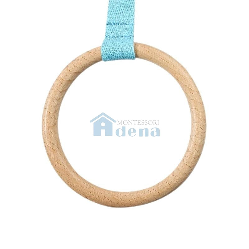 Disc on a Ribbon