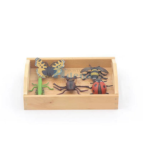 Replicas Objects -Insects with wooden tray