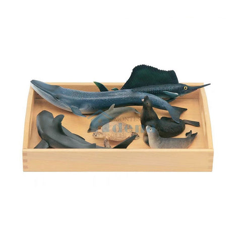 Replicas Objects -Ocean Animals with wooden tray