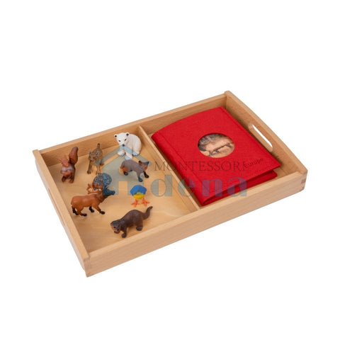 European Wildlife objects with Sorting Cards and Tray