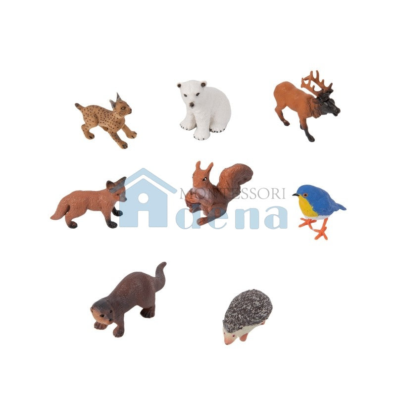 European Wildlife objects