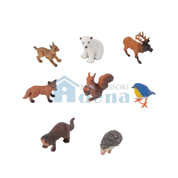 European Wildlife objects