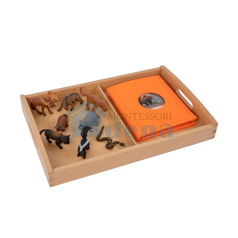 North American Wildlife objects with Sorting Cards and Tray