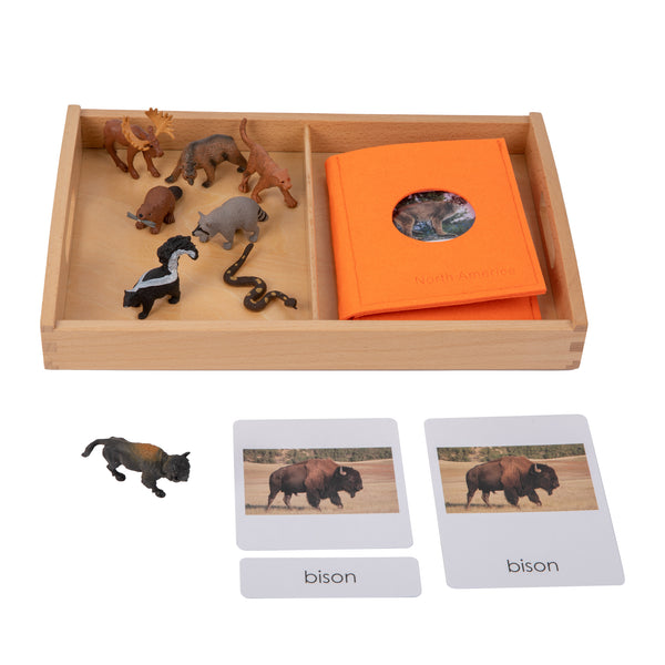 North American Wildlife objects with Sorting Cards and Tray