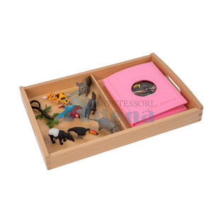 South American Wildlife objects with Sorting Cards and Tray