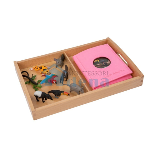 South American Wildlife objects with Sorting Cards and Tray