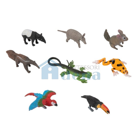 South American Wildlife objects