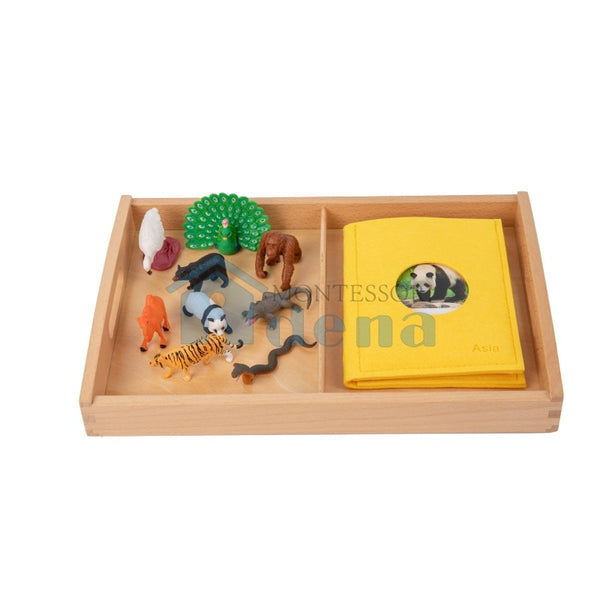 Asian Wildlife objects with Sorting Cards and Tray