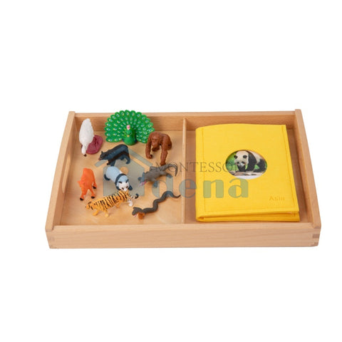 Asian Wildlife objects with Sorting Cards and Tray