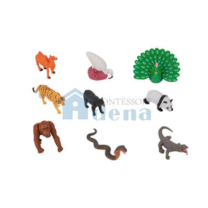 Asian Wildlife objects