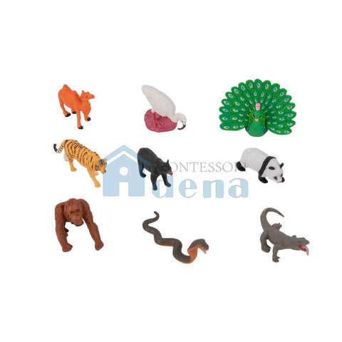Asian Wildlife objects