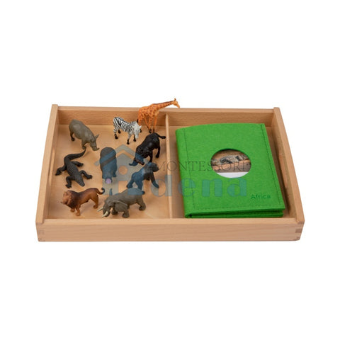 Asian Wildlife objects with Sorting Cards and Tray