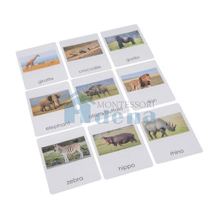 Africa Wildlife  Sorting Cards EN with album