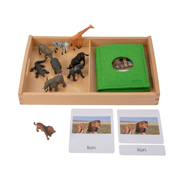 Asian Wildlife objects with Sorting Cards and Tray