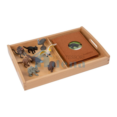 Oceania Wildlife objects  with Sorting Cards and Tray