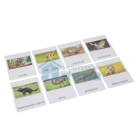 Australia  Wildlife  Sorting Cards EN with album