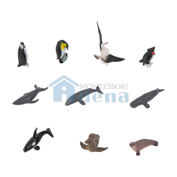 Animal from Antarctica Objects