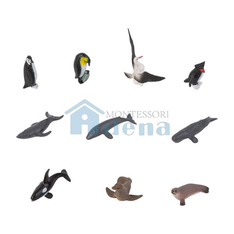 Animal from Antarctica Objects