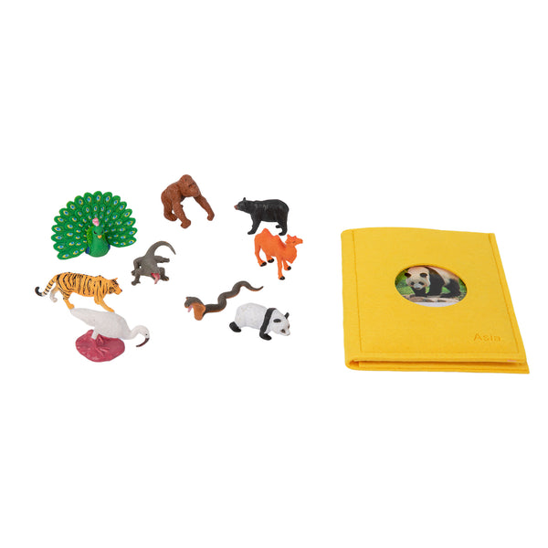 Asian Wildlife  Sorting Cards EN with album