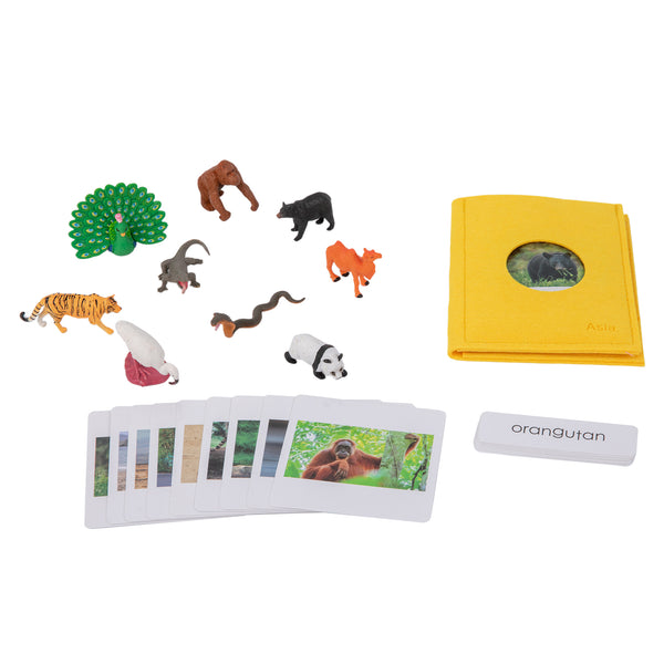 Asian Wildlife  Sorting Cards EN with album