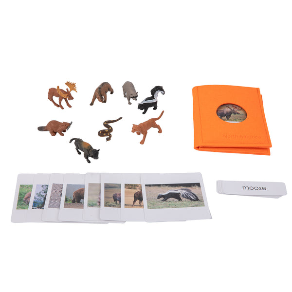 North American   Wildlife  Sorting Cards EN with album